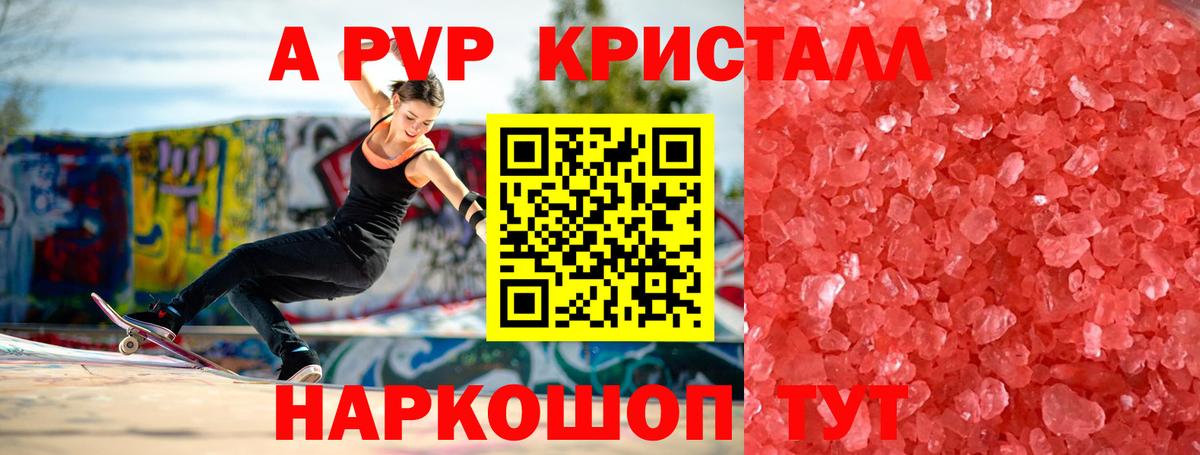 A PVP СК КРИС Таганрог