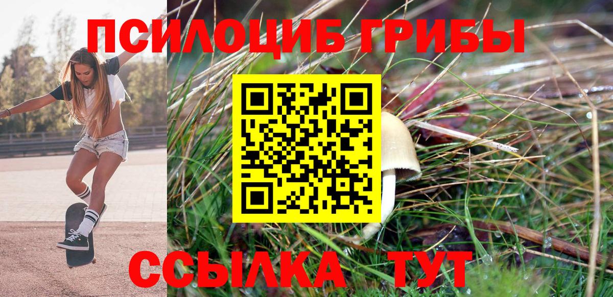 Галлюциногенные грибы мицелий  Галлюциногенные грибы Cubensis  Вход с VPN  Таганрог 